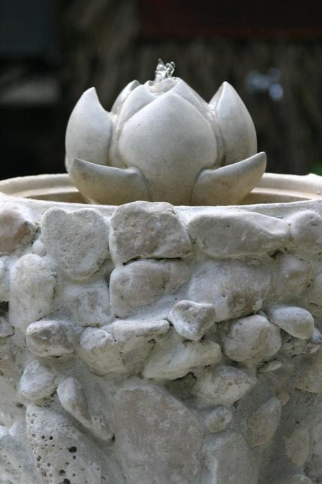 hotel tropico latino