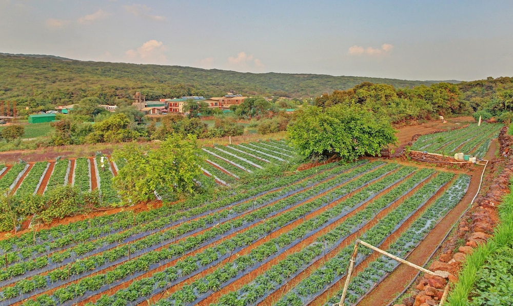 mahabaleshwar