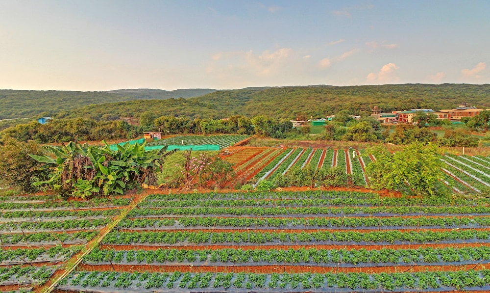 mahabaleshwar
