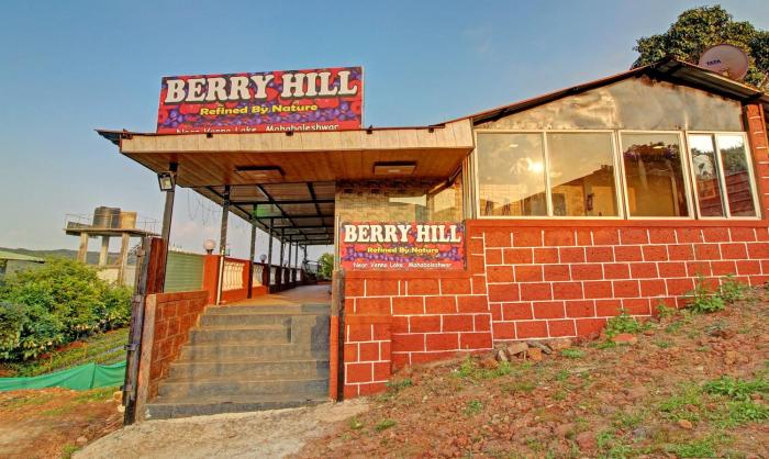 treebo berry hill venna lake