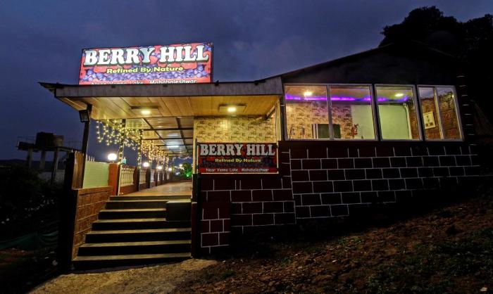 treebo berry hill venna lake