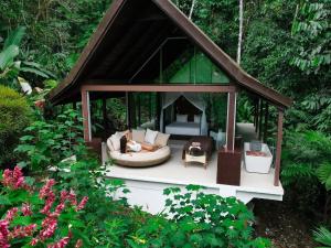 Oxygen Jungle Villas & Spa,Ballena>>Alfombra,5 star
