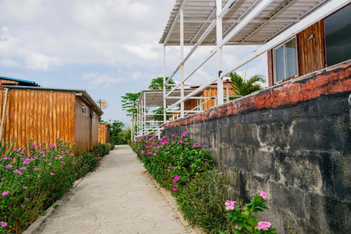 arena beach hotel by geh suites