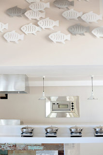 tropical attitude adults only