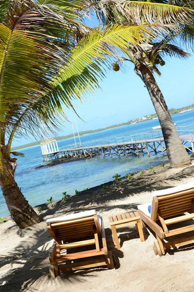 tropical attitude adults only