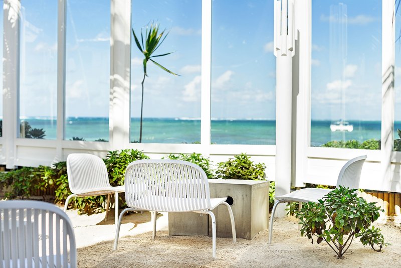 tropical attitude adults only