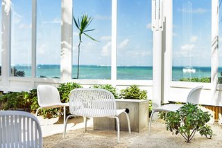 tropical attitude adults only