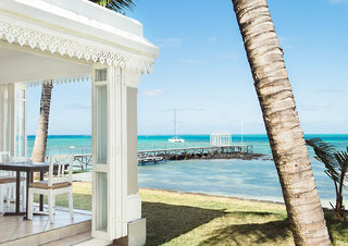 tropical attitude adults only