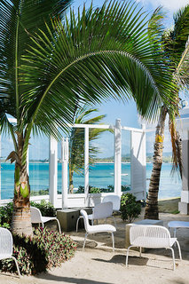 tropical attitude adults only