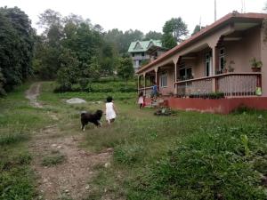 Vamoose Kamala,Gangtok>>Aritar,1 star