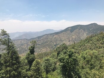 kasauli