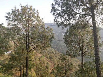 kasauli