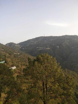 kasauli