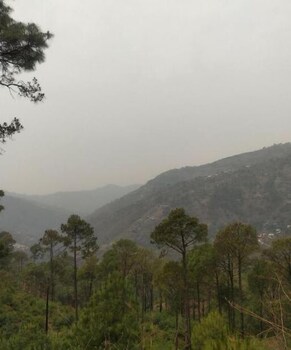 kasauli