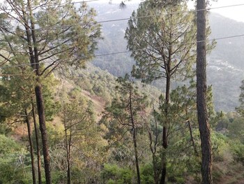 kasauli