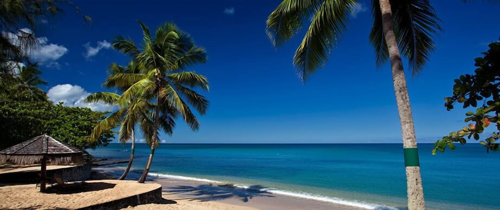 gros islet