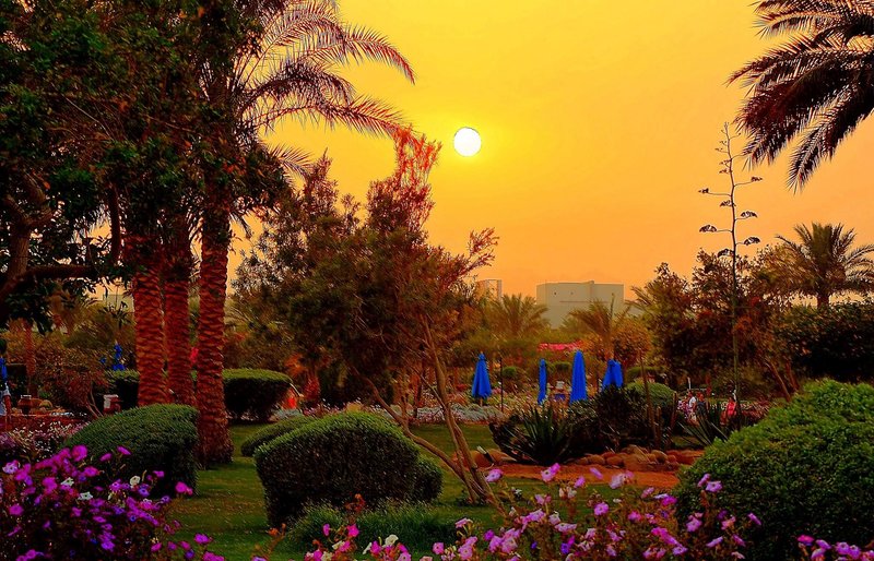 aurora oriental resort sharm el sheikh