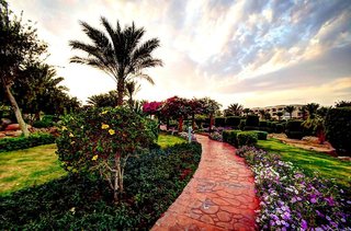 aurora oriental resort sharm el sheikh