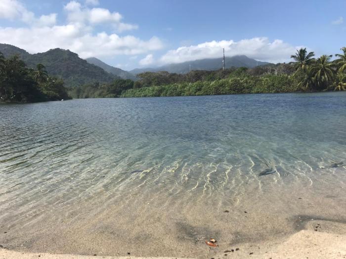 guachaca