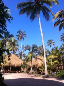 guachaca