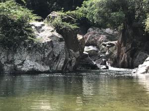 guachaca
