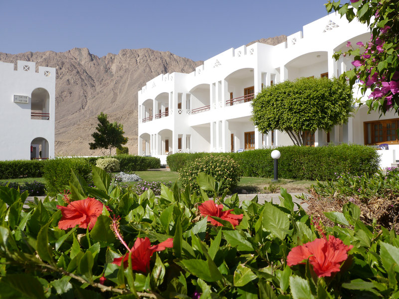 happy life village dahab