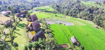 village above the clouds