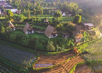 village above the clouds