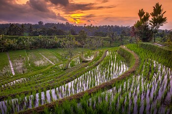 village above the clouds