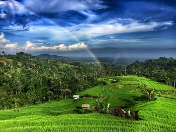 village above the clouds
