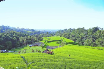 village above the clouds