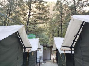 kasol