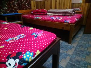 Vamoose Newahang,Kalimpong>>Darjeeling,1 star