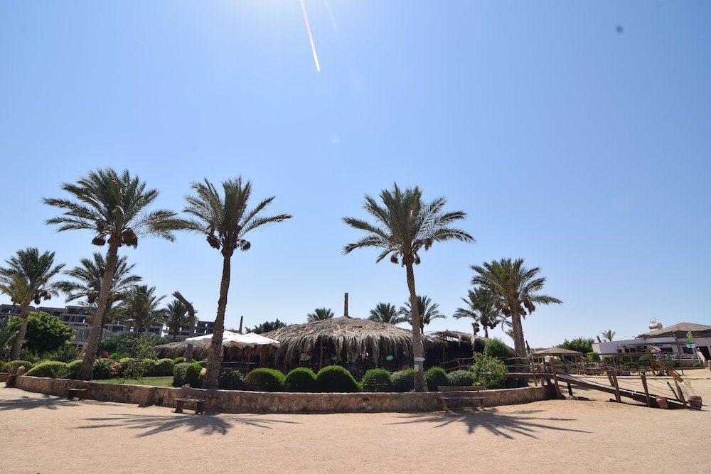 sharm el naga resort and diving center