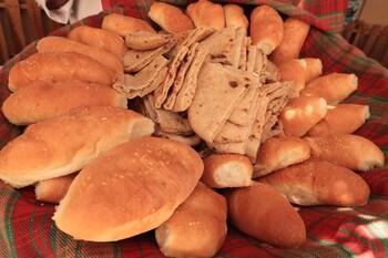 sharm el naga resort and diving center