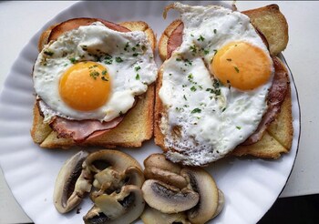 sharm el naga resort and diving center