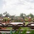 panchgani