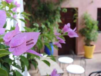 Riad Al Badia,135 Derb Ahl Souss - Berrima,4 star