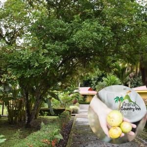 arenal country inn