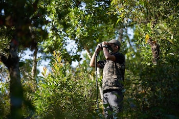 coorg wilderness resort and spa
