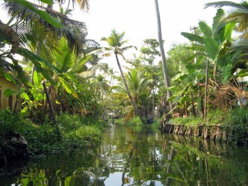 alleppey