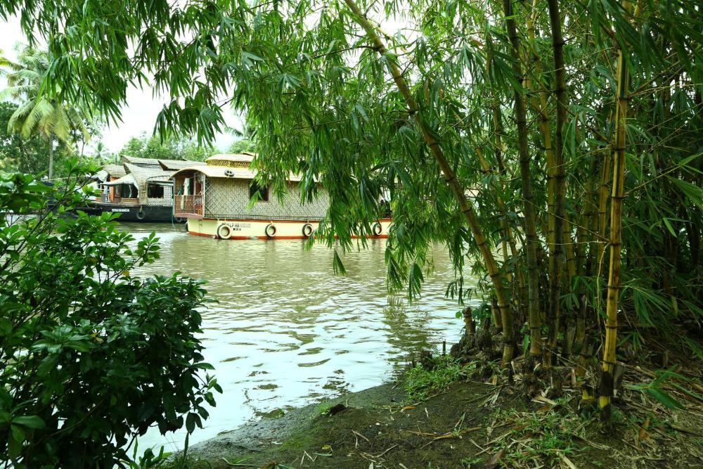 alleppey