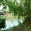 alleppey