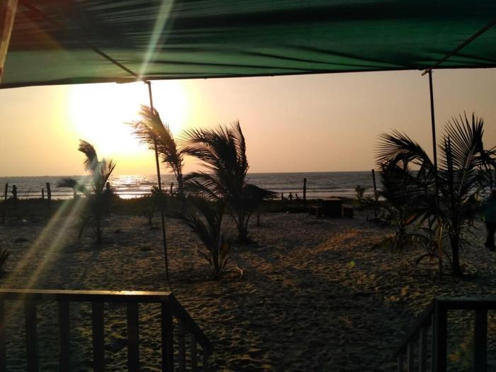 vamoose manali resort