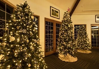 lakeside lodge and suites