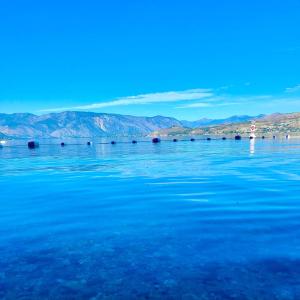 chelan