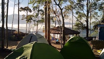 munnar jungle camp