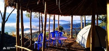 munnar jungle camp