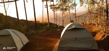 munnar jungle camp