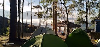 munnar jungle camp